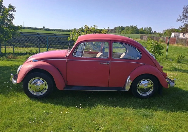 Volkswagen Garbus cena 25900 przebieg: 123400, rok produkcji 1967 z Lublin małe 56